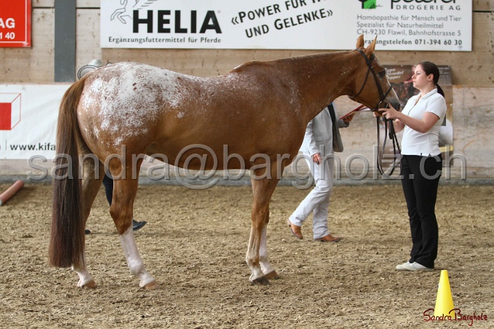24-ApHC HIH_080.jpg